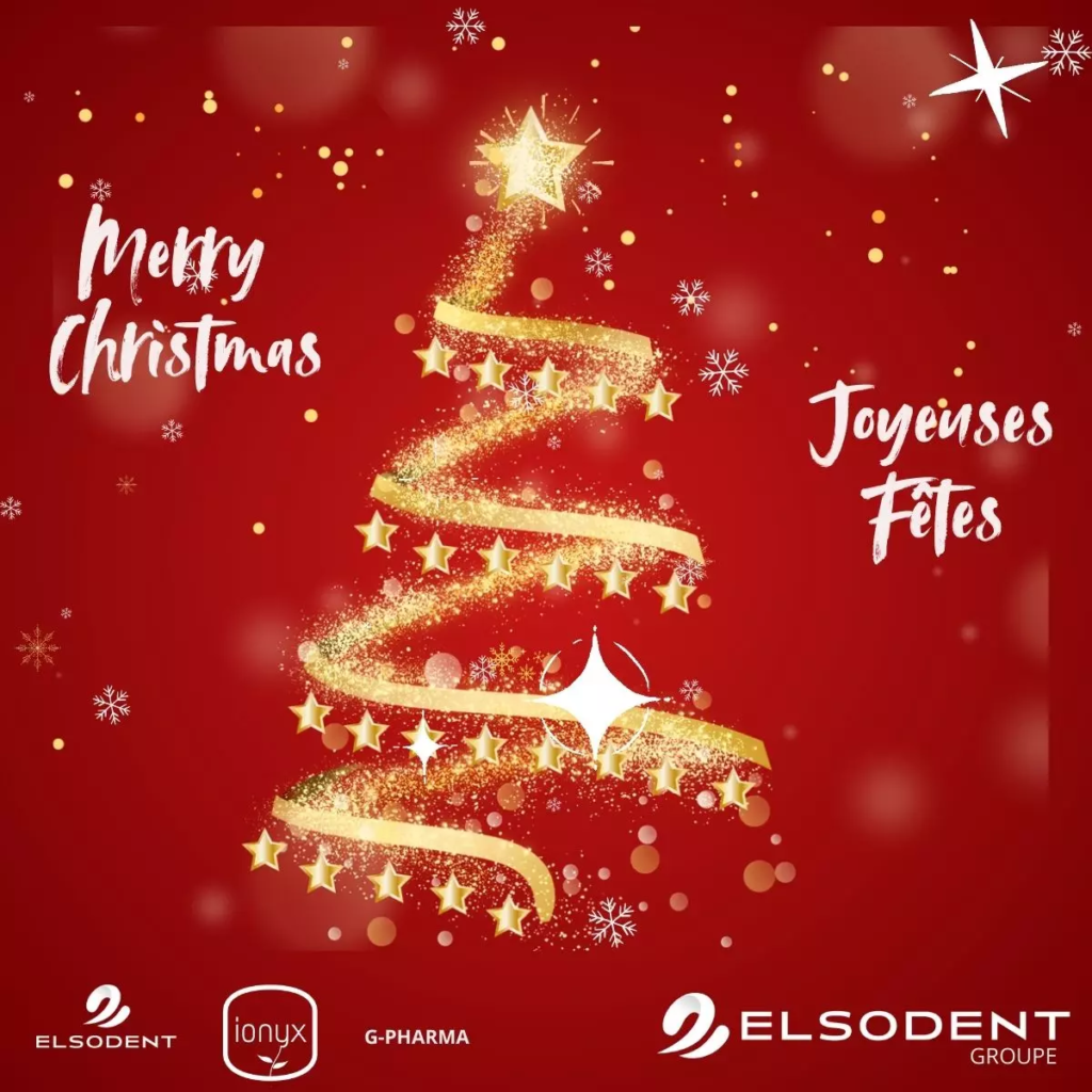 2025 joyeuses fetes banner