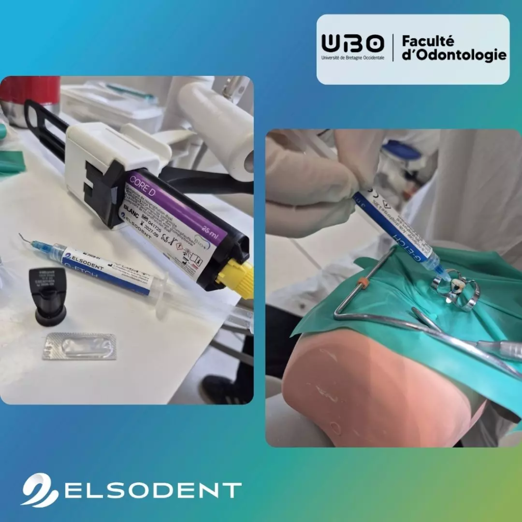 Elsodent - ELSODENT x Faculté d’Odontologie de Brest