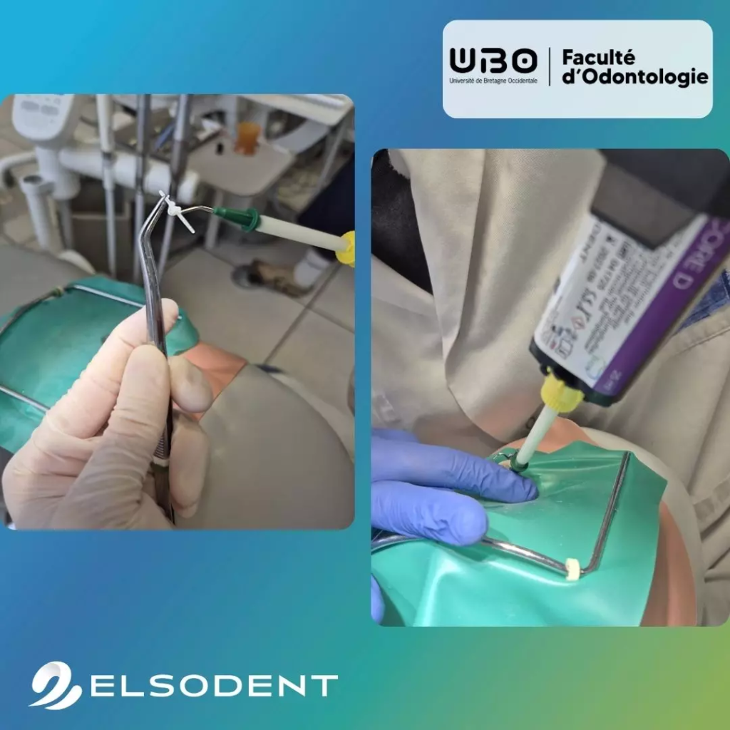 Elsodent - ELSODENT x Faculté d’Odontologie de Brest