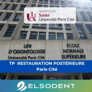 Elsodent - ELSODENT: composites dentaires et matériaux dentaires français