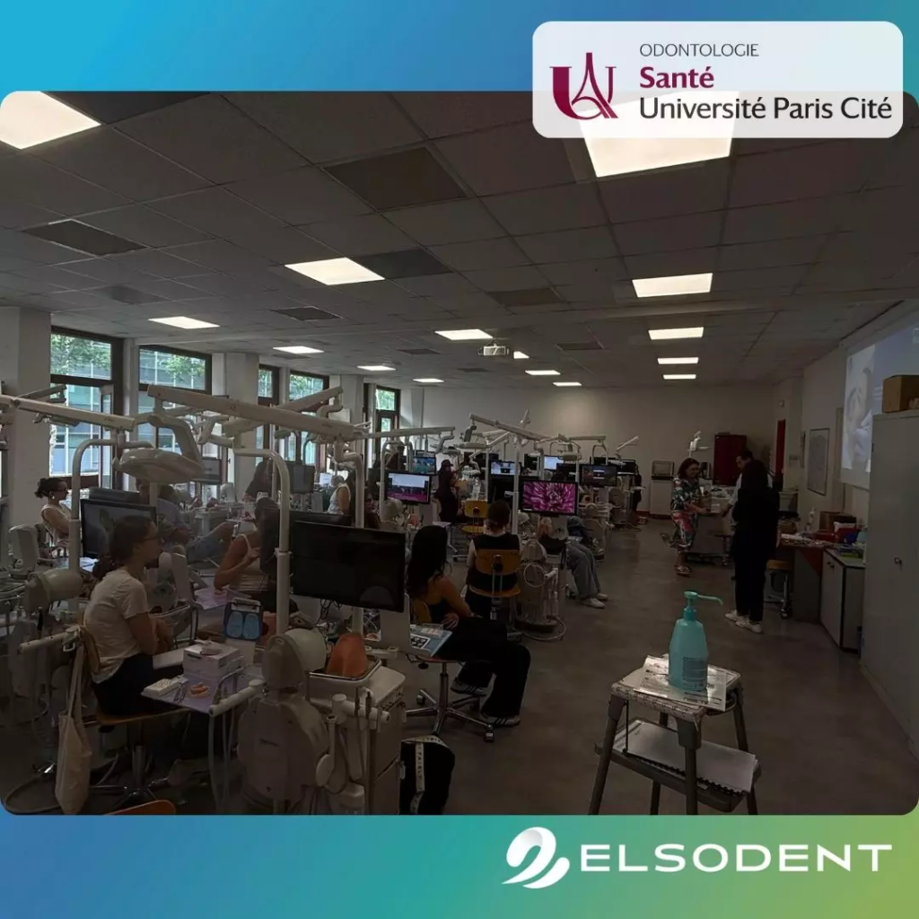 Elsodent -
